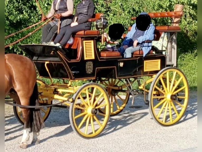 Carrozza Break