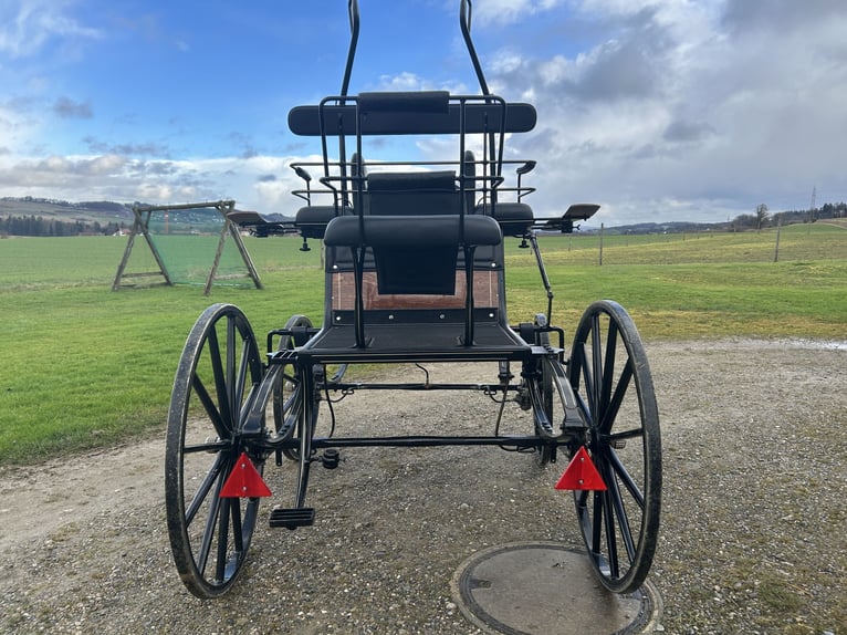 Carrozza da dressage Spider a 2 ruote