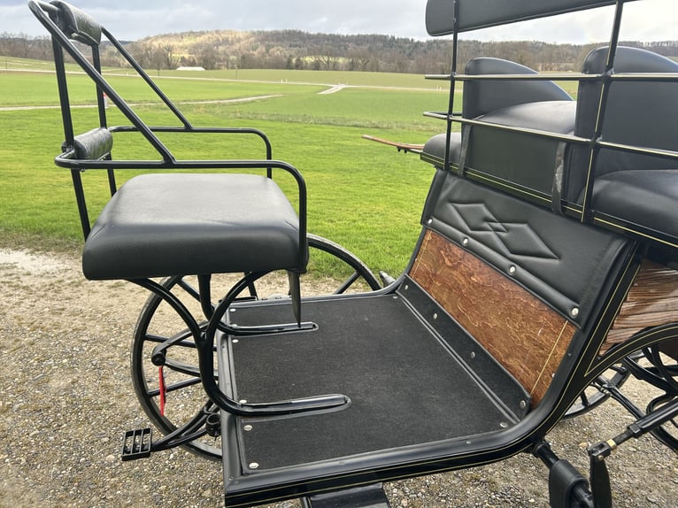 Carrozza da dressage Spider a 2 ruote