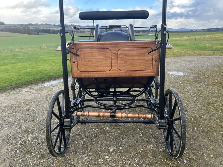 Carrozza da dressage Spider a 2 ruote