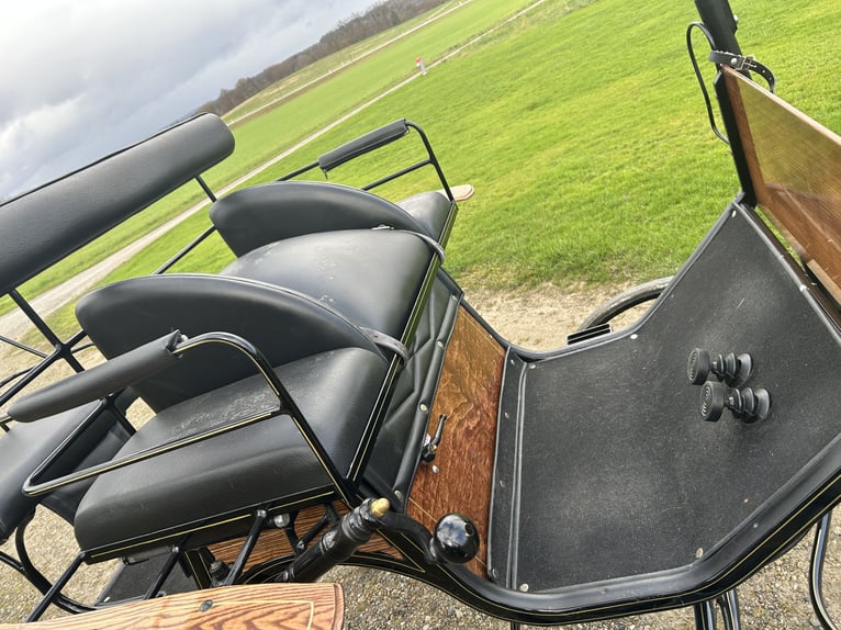 Carrozza da dressage Spider a 2 ruote