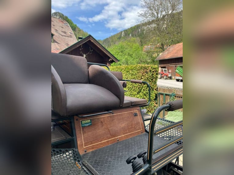 Carrozza da maratona