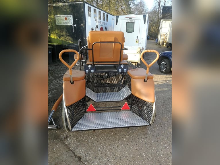 Carrozza da maratona di altissima qualità