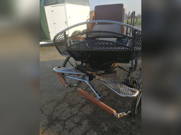 Carrozza da maratona di altissima qualità