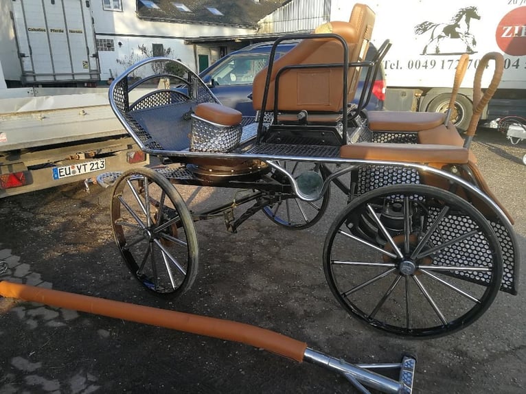 Carrozza da maratona di altissima qualità