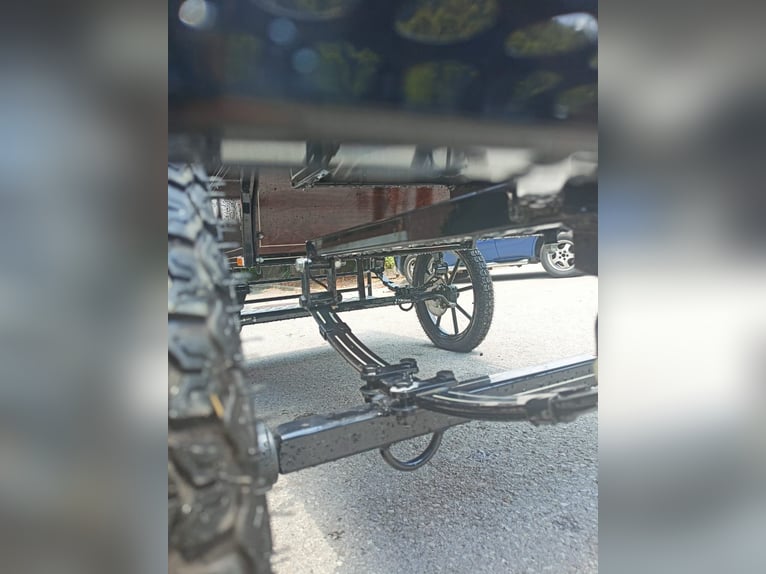 Carrozza da Maratona Disponibile – Vprege Repnik