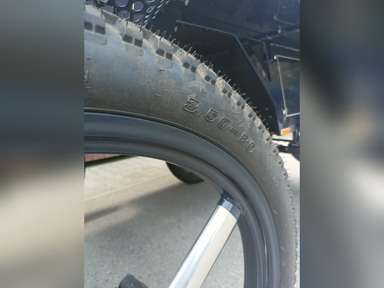 Carrozza da Maratona Disponibile – Vprege Repnik