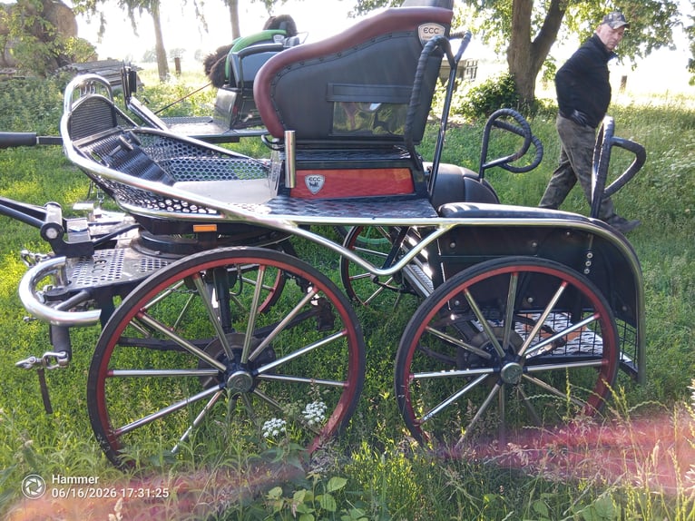 Carrozza da maratona ECC per due cavalli
