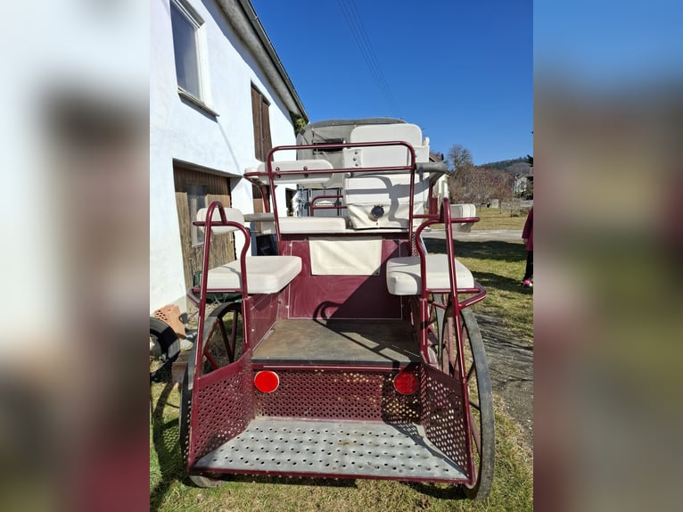 Carrozza da maratona Kibele per grandi cavalli