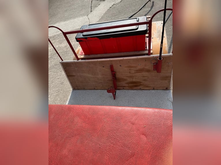 Carrozza e bardature per carrozza e singolo traino, come nuove