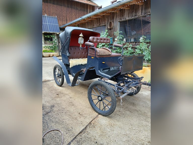 Carrozza storica per trasporto di cavalli