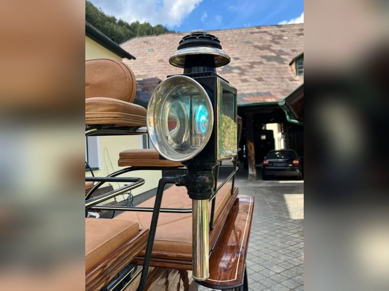 Carrozza trainata da cavalli