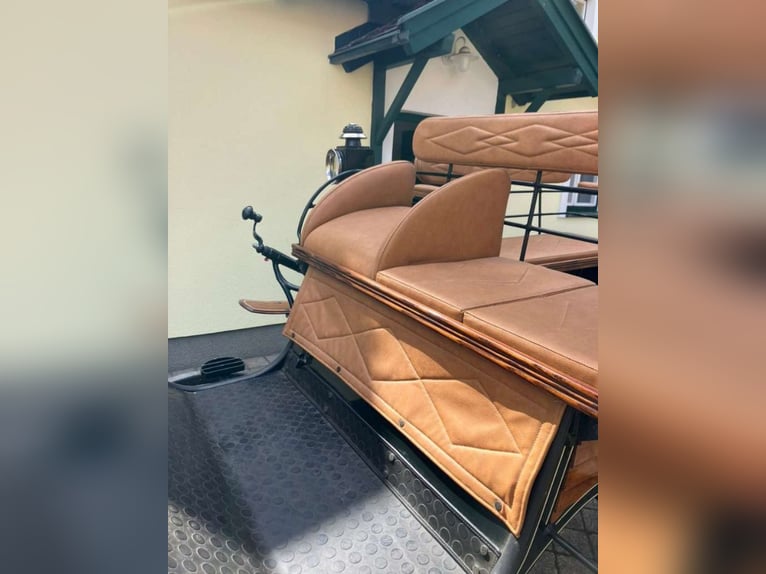 Carrozza trainata da cavalli