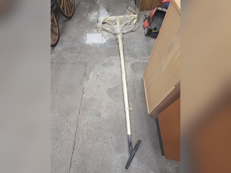 Carrozza trainata da cavalli