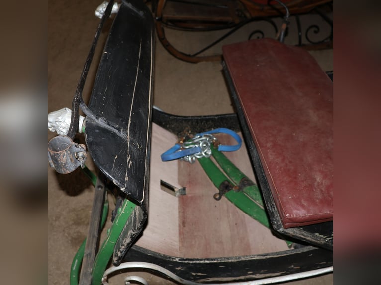 Carrozza trainata da cavalli, carrozza antica, decorazione storica, veicolo d'epoca