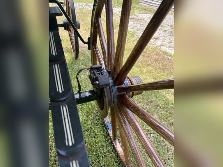 Carrozza / Wagonette