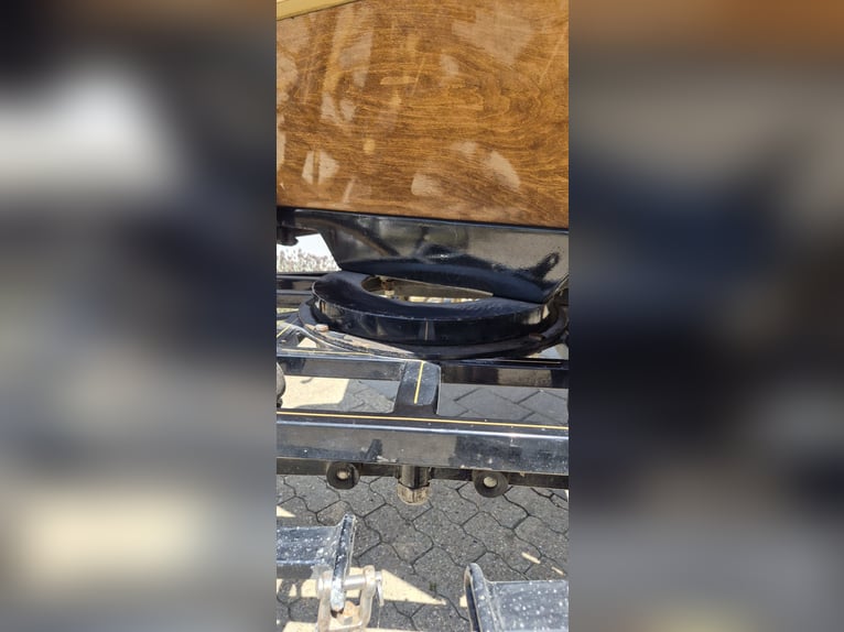 Carrozza Wagonette per grandi cavalli
