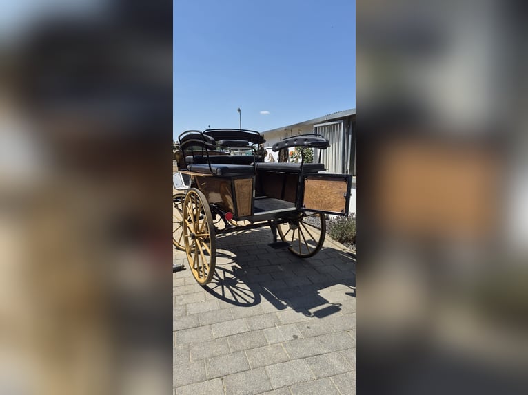 Carrozza Wagonette per grandi cavalli