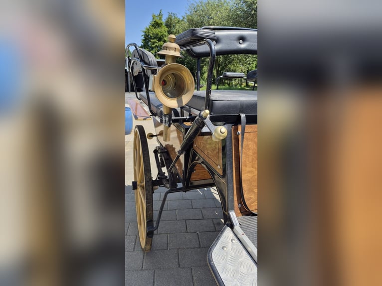 Carrozza Wagonette per grandi cavalli