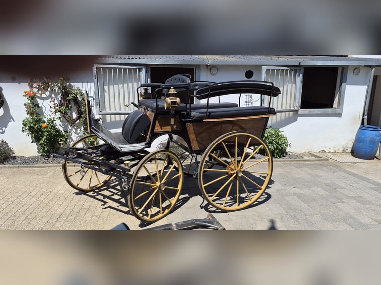 Carrozza Wagonette per grandi cavalli