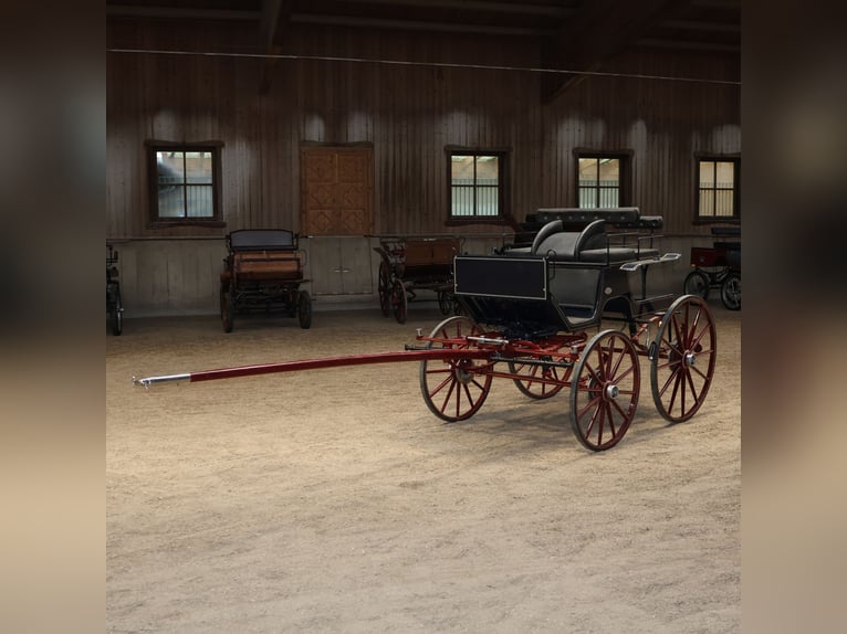 Kühnle Spider carro da dressage / carrozza per dressage con freni a disco per equipaggi singoli o do