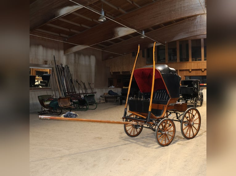 Leitert Doktorwagen Kutsche Scheibenbremsen Leder Holz