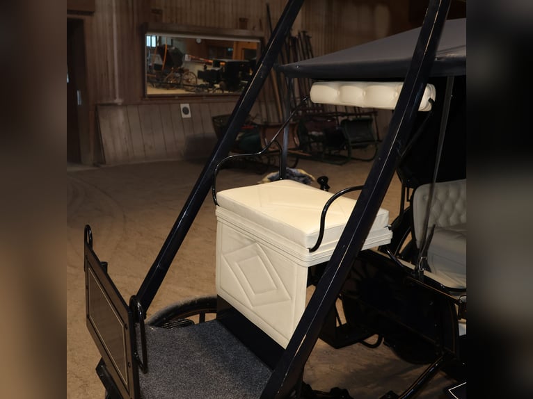 Mylord Kutsche Ein/Zweispänner Scheibenbremsen Trittbrett Schwarz