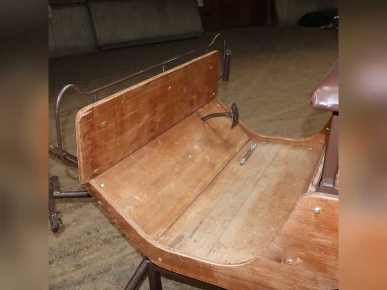 Sawa Freizeitwagen Kutsche Schmid Herdwangen