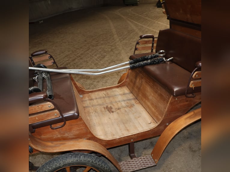 Sawa Freizeitwagen Kutsche Schmid Herdwangen