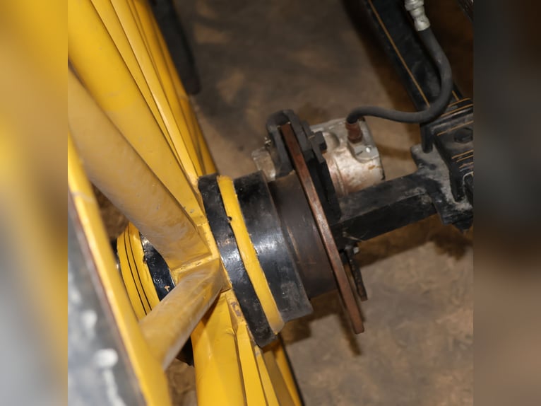 Schwere Wagonette Kutsche E. Wiez Zweispänner Scheibenbremsen