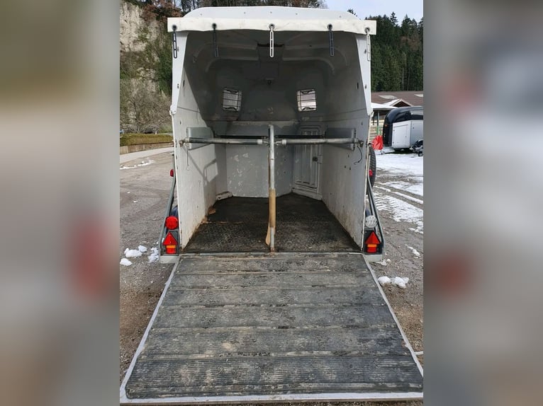 Trailer MAN per 2 cavalli.