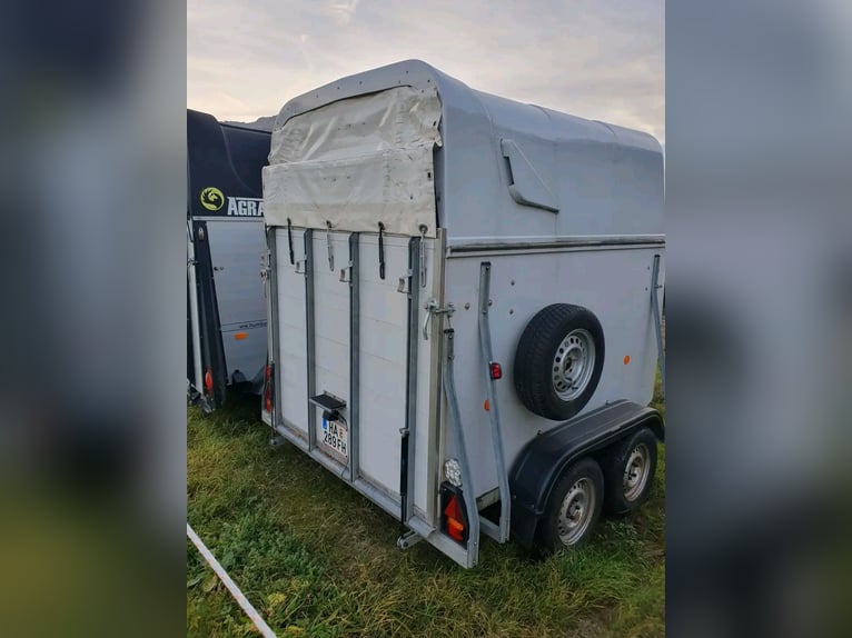 Trailer MAN per 2 cavalli.