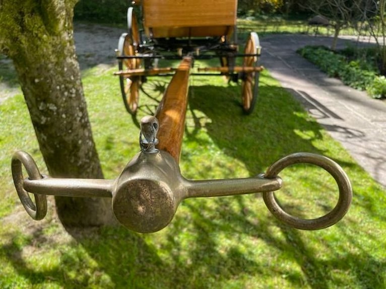 Wagonette esclusiva - capolavoro in quercia naturale