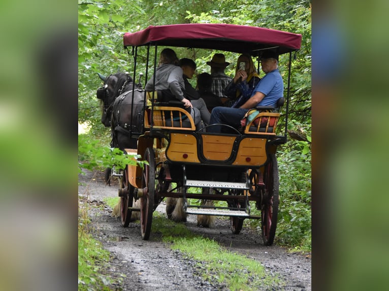 Carretto da picnic con carrozza