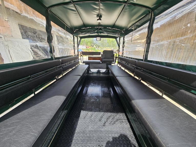 Carrozza da carrozza, anno di costruzione 2019, in ottime condizioni, in vendita.