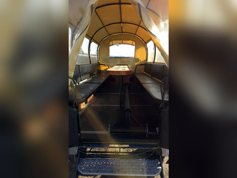 Carrozza per gite nel verde in vendita