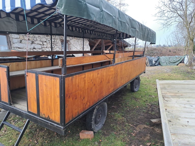 Carrozza trainata da cavalli