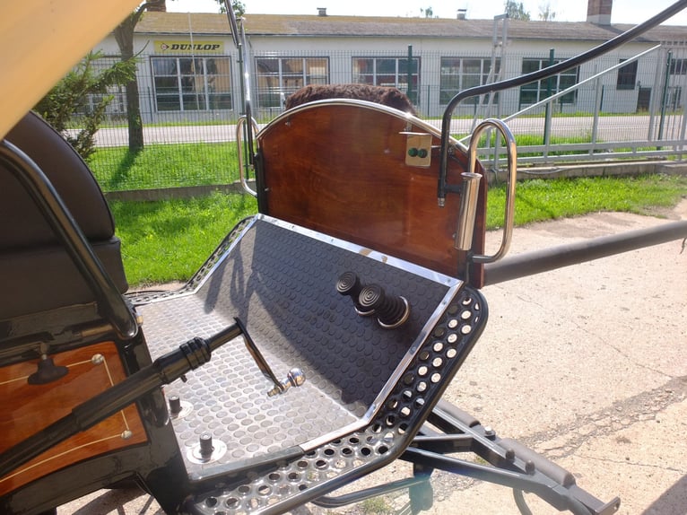 Nuovo carrozza trainata a cavallo