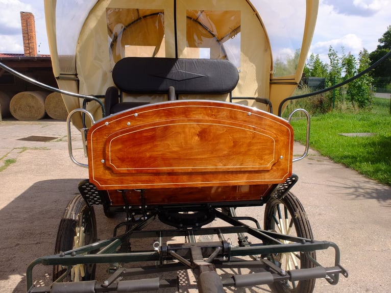 Nuovo carrozza trainata da cavalli