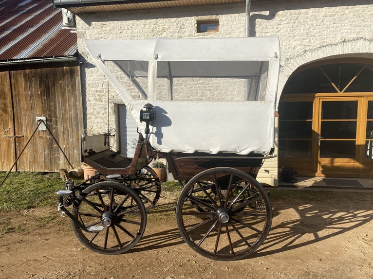 Sehr schöne Kutsche im Stil von einem Planwagen zu verkaufen / calèche