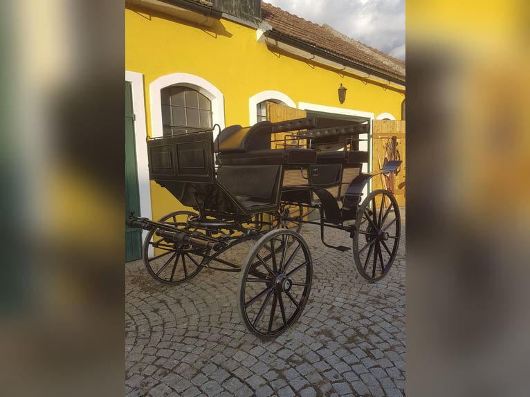 Carro da dressage modello Esterhazy