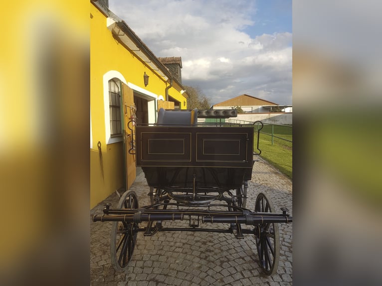 Carro da dressage modello Esterhazy