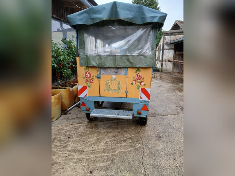 Carrozza trainata da cavalli per circa 10 persone
