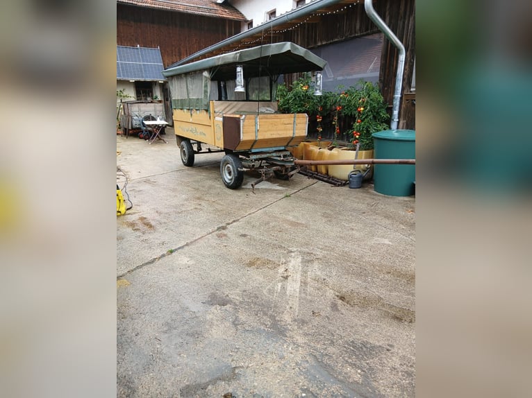 Carrozza trainata da cavalli per circa 10 persone