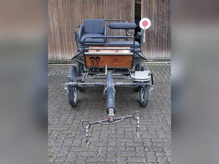 Carrozza per scuola di equitazione per pony