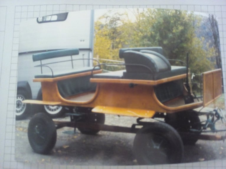 Bellissima carrozza a due posti per pony