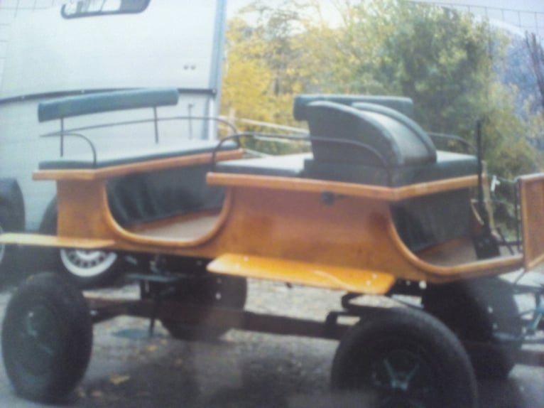 Bellissima carrozza a due posti per pony