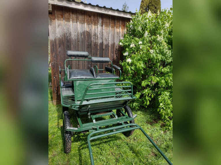 Carrozza da marathon a una ruota con bardatura