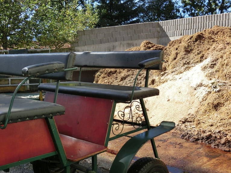 Carrozza da passeggio Kühnle