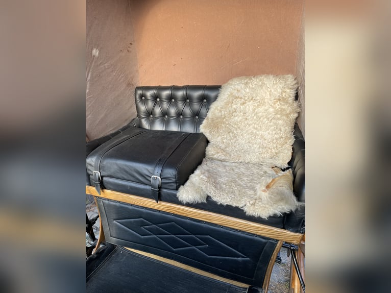 Carrozza elegante e ristrutturata